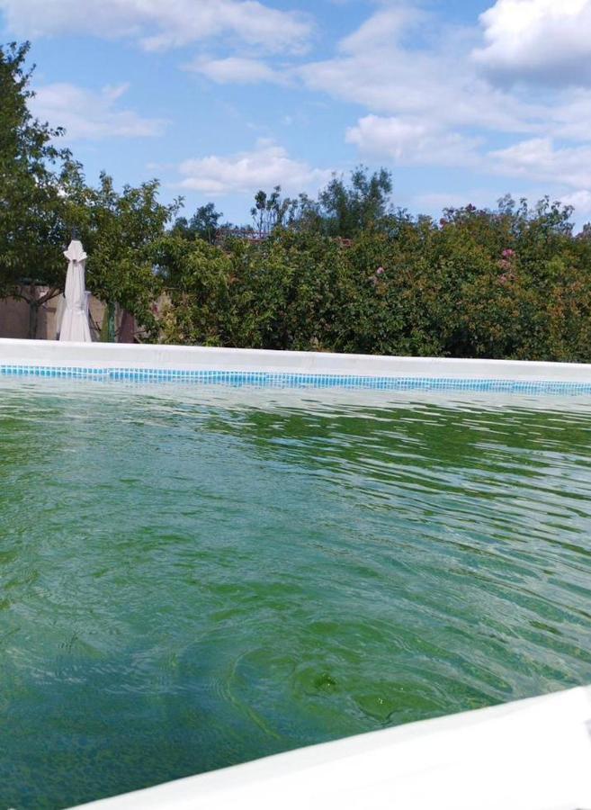 Baza Otdyha Primor'e Primorskoye Exterior foto