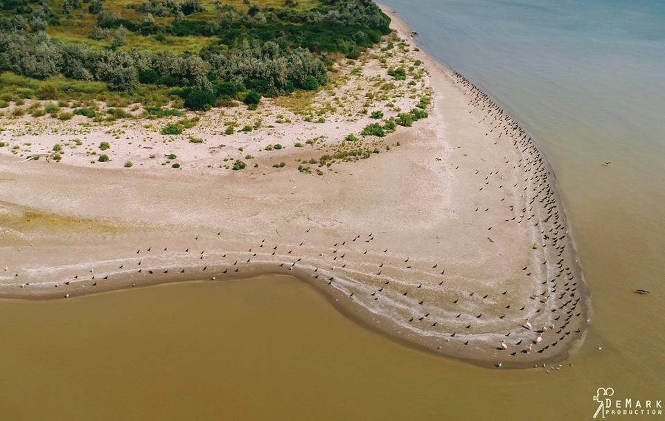 Baza Otdyha Primor'e Primorskoye Exterior foto